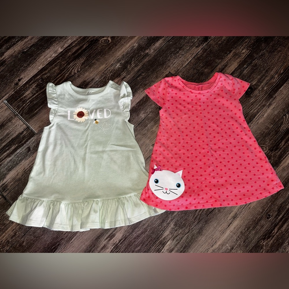 2 dresses sz 24m